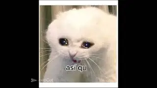 es que yo yo ya le había agarrado tanto cariño a las vacaciones *chilla* 🤧😭