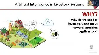 Artificial Intelligence in Livestock Systems