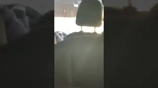 Dad Speaks Italiano II 2018