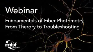 Webinar: Fundamentals of Fiber Photometry: From Theory to Troubleshooting