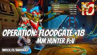 +18 Operation Floodgate MM Hunter PoV