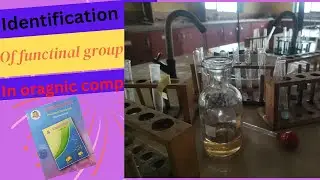 Identification of functional group 12th chemistry practical  