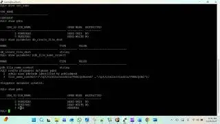 Create Pluggable Database (PDB) from scratch in Oracle 19c / 23ai