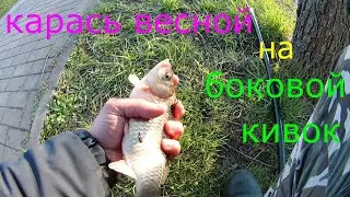 Весенний карась на боковой кивок. Ловля на мормышку летом #карасьвесной