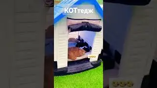 КОТтедж