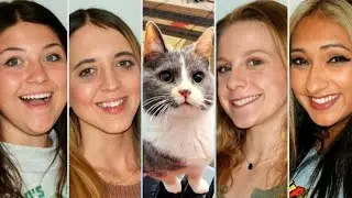 Livestream: Chat, Q & A, and Trying Treats with Hannah, Toy, Tori, Abby, and Boo