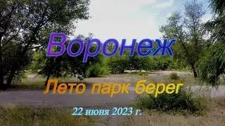 Воронеж, лето, парк, берег, 22 июня 2023 г