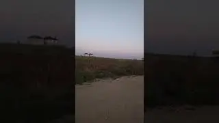 #Софиевская