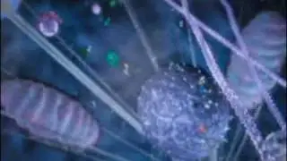 The Cell Design - evolution in question, Rate My Science