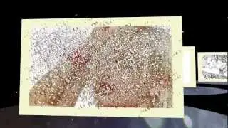 blufftiler presentation photo reverse