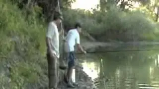 Сезон 2007 года (Ловля Буффало)