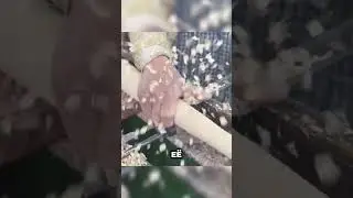 ЭТО ЛУЧШИЙ ТАЛАНТ 😲🤯