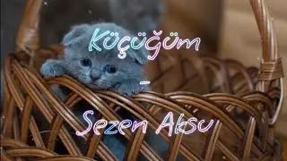 Küçüğüm - Sezen Aksu, lyrics and English translation