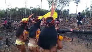 The Amazon River Tribus Korubo