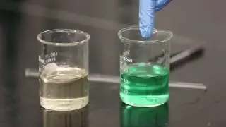 The chemistry of nylon