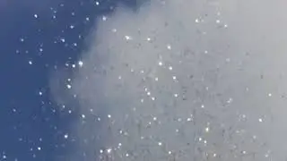 «Рот закрой»
