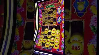 My THIRD bonus on this machine! Prosperity Link for the win 🏆 