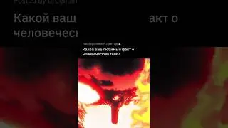 Истории - «факты о твоем теле» 