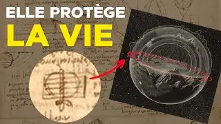 Ils l’appellent “la FRÉQUENCE de l’Univers”