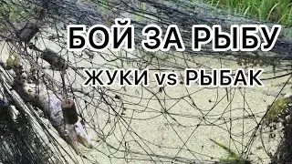 ИЩУ РЫБНЫЕ ОЗЁРА!ПРОВАЛИЛСЯ БОБРОВУЮ НОРУ!