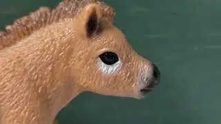 Обзор пони шетти Schleich