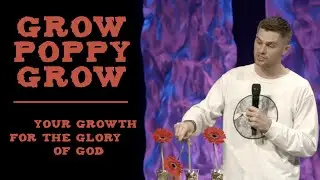 Grow Poppy Grow // Sermon by Craig Brown // Heart of the City Church