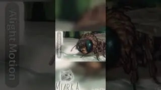 Bee simulator едіт 