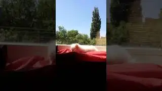 Шотландский ред поинт