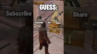 Help CHEWBACCA guess the OLYMPUS CHEST 🙈!!