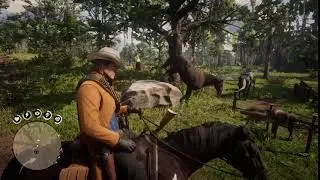 Red Dead Redemption 2 Uncomfortable Horse