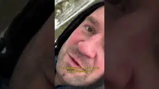 Удивительные факты: Загадочные действия собаки раскрыты