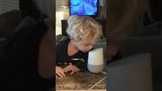 Google home 