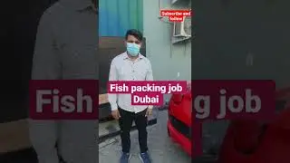 Packing helper job in DUBAI 