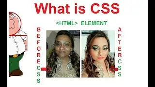 what is css CSS TUTORIAL | WHAT IS STYLE | CASCADING STYLE SHEET