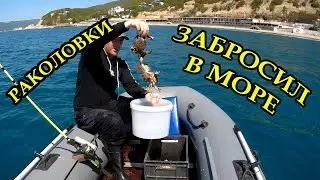 Раколовки.  Забросил раколовки в море, наловил крабов и рыбу.