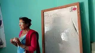 dxn kapilvastu