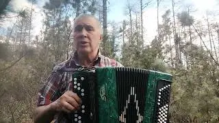 Песня для Мамы!авт.Катя Тюкавкина! г.Комсомольск на Амуре! исп Ф.Гречко!