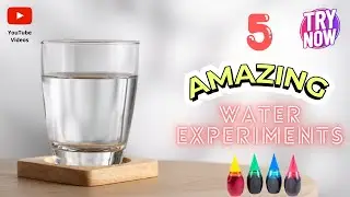 5 Mind-Blowing Water and Food Coloring Experiments!
