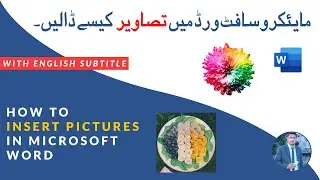 How to insert picture in Microsoft Word