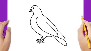How to draw a dove