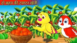 दो बहन की टमाटर खेती | Tomato Farming Of Two Sisters | Bird's Cartoon|