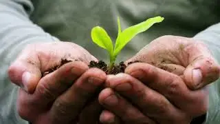 What is Regenerative Agriculture?