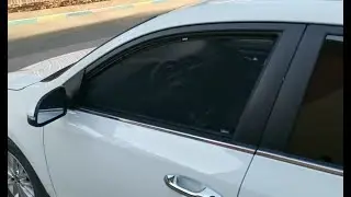 Автошторки Laitovo/ Видео установки клиентом/ Отзыв на Kia Rio 4G