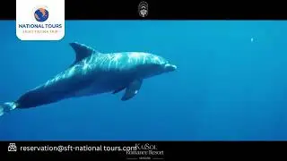 KaiSol Romance Resort Sahl Hasheesh