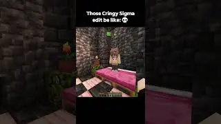 Minecraft Sigma edit be like: 💀 