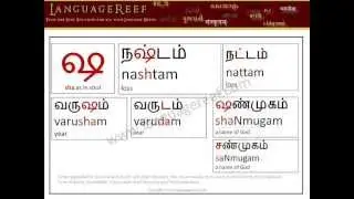 learn sanskrit letters in Tamil/vada mozhi sotrkal/modern consonants.