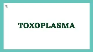 Toxoplasma gondii | Toxoplasmosis | Life Cycle, Diagnosis, Treatment & Prevention | MEDZUKHRUF