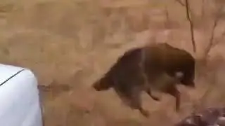 Где ты блять, где ты на хуй?