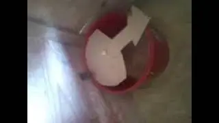 Самодельная мышеловка,как сделать ловушку