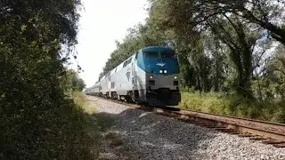 Amtrak Palmetto Highball moving through Plant City/Lakeland, Florida